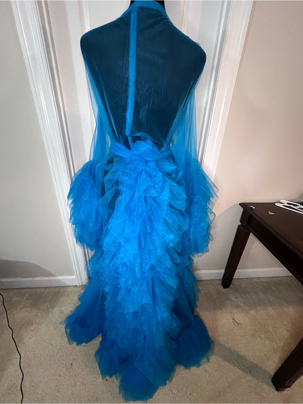Blue Sheer Tulle Ruffle Robe Dress - Picture 5 of 7